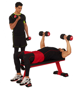 UFC Скамья прямая - фото 20872