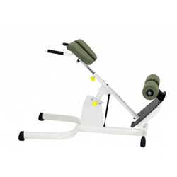 Гиперэкстензия Gym80  Sygnum Medical 3237 - фото 20935