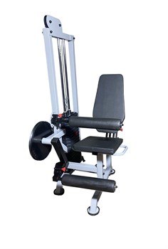 Квадрицепс + бицепс бедра сидя AG-032 - фото 35610