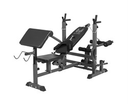 Скамья со стойками под штангу DFC GYRONETICS GN008 с партой для бицепса - фото 66457