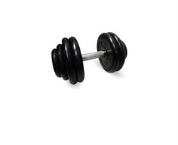 Неразборная гантель c вращающейся ручкой, 28.5 кг - фото 67505