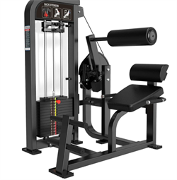 Разгибание спины Protrain CP121 - фото 72550