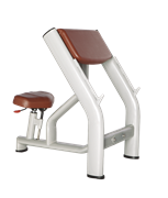 BRONZE GYM H-040A Скамья Скотта