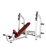 BRONZE GYM H-025 Скамья для жима с положительным наклоном