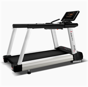 Беговая дорожка Ammity Pro ATM 4500