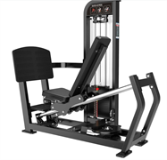 Жим ногами Protrain CP112
