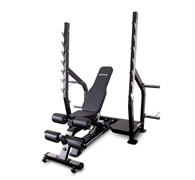 Скамья для жима регулируемая Protrain PR-PRORACK