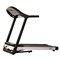 Беговая дорожка EVO FITNESS Jet - фото 13990