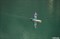 Доска SUP JP 20 SuperLight 10'6" - фото 30984