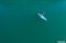 Доска SUP JP-Australia 2020 Venus 11’6”x30”x5” LE - фото 31100