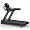 Беговая дорожка CardioPower PRO CT200старая - фото 35590