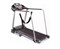 Беговая дорожка DFC WALKER EVO T-S1 - фото 42555