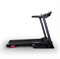 Беговая дорожка Everyfit 74305A - фото 42701