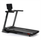 Беговая дорожка SVENSSON BODY LABS PHYSIOLINE SPRINTMASTER B - фото 54279
