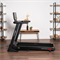 Беговая дорожка SVENSSON BODY LABS PHYSIOLINE SPRINTMASTER B - фото 54291