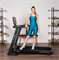 Беговая дорожка SVENSSON BODY LABS PHYSIOLINE SPRINTMASTER B - фото 54293