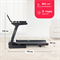 Беговая дорожка SVENSSON BODY LABS PHYSIOLINE SPRINTMASTER A - фото 54304