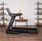Беговая дорожка SVENSSON BODY LABS PHYSIOLINE SPRINTMASTER A - фото 54306