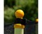 Батут DFC JUMP KIDS 60" желто-синий - фото 56786