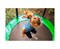 Батут с защитной сеткой DFC JUMP4FUN 6 ft зеленый с лестницей - фото 59616