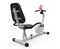 Велотренажер DFC B504RWO магнитный (белый корпус, оранжевая полоса) - фото 64793
