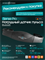 Беговая дорожка домашняя OXYGEN FITNESS M-CONCEPT SPORT (SMOKY) - фото 88783