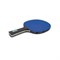Ракетка DONIC COLOR Z BLUE - фото 89908